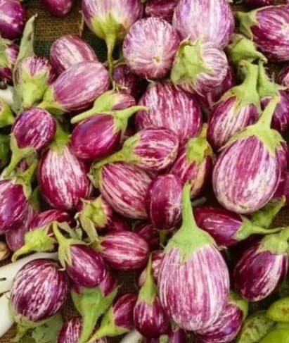 Brinjal