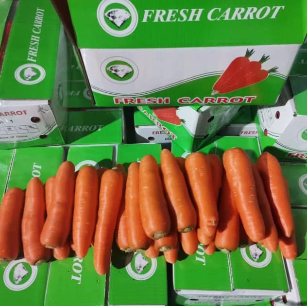 Carrots