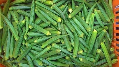 Lady Fingers