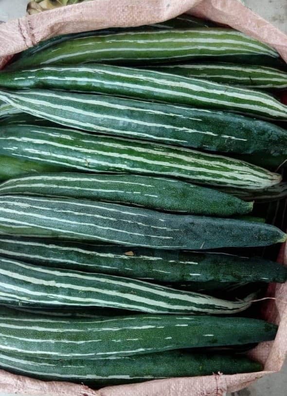 Snake Gourd (Padwal)